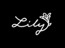 lily store..com